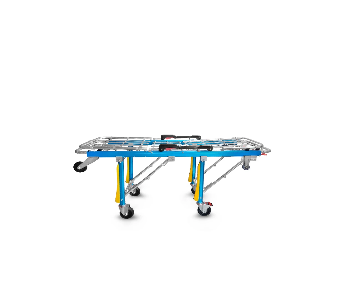 6981c90a72405_nosze3 (1)